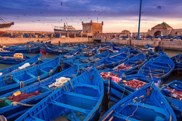 Guide de Voyage à Essaouira : La Perle de l&rsquo;Atlantique