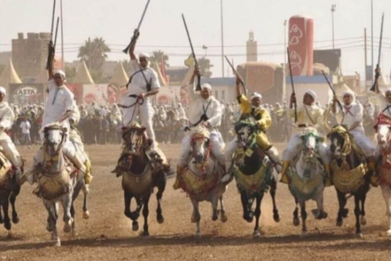 Le Cheval au Maroc : Symbole de Noblesse, Héritage et Fierté Nationale