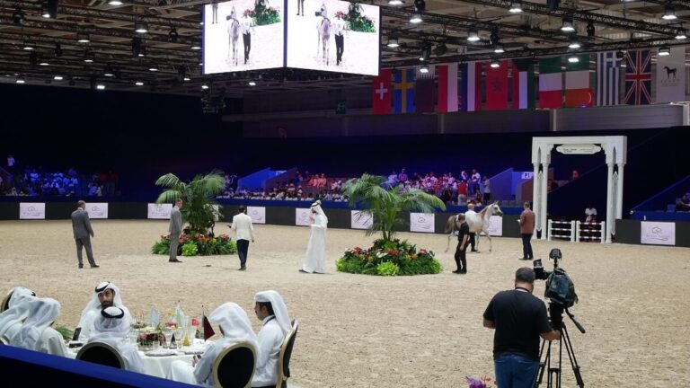 Immersion au Salon du Cheval d&rsquo;El Jadida 2024