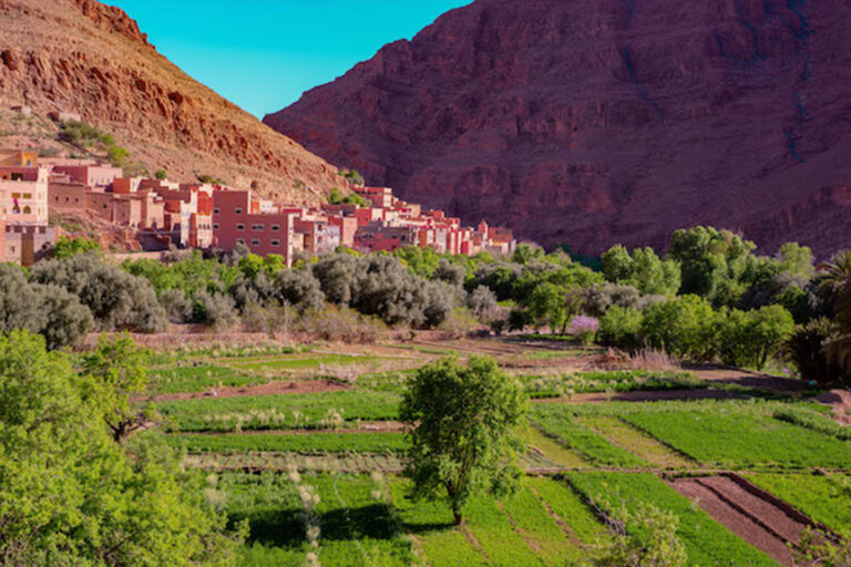 Les meilleures saisons pour visiter chaque région du Maroc | Guide des périodes idéales
